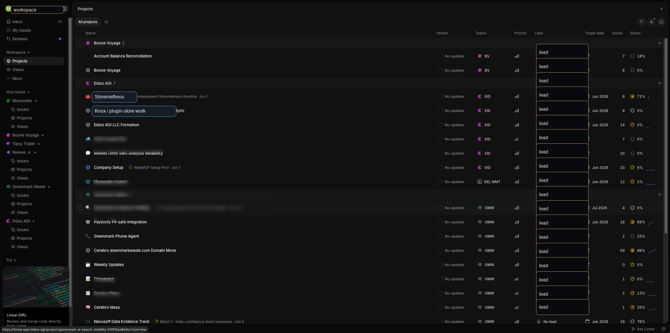 Redacted Linear project view showing Eidos projects, Storemetheus, Knox plugin-store work, and multiple teams.